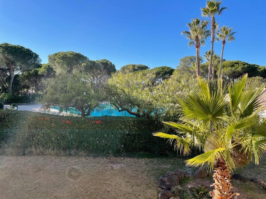 Bel Appartement Vue Sur Piscine 1 Chambre Fermee Et 1 Espace Cabine Saint-Raphaël Exterior foto